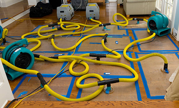 Professional Crawl Space Water Removal technician working in Steeleville, IL